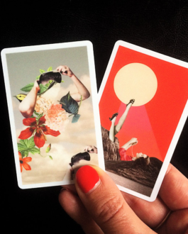  collage illustration