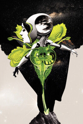  collage illustration art